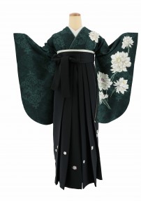 卒業式着物[シック]深緑に薄緑のアラベスク模様・大きな白い花No.812